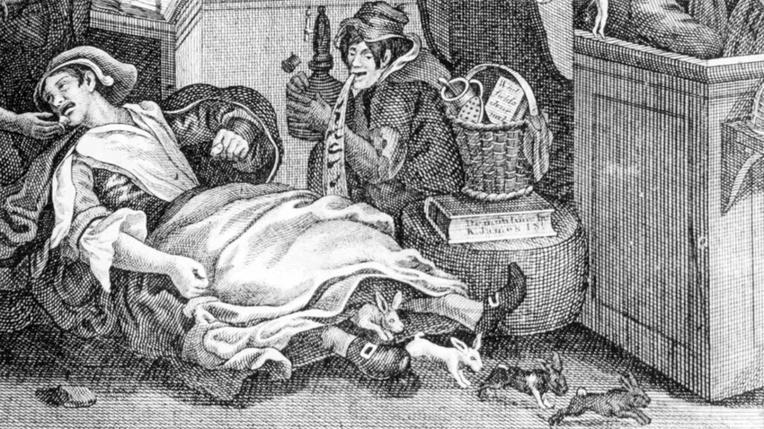 Мэри Тофт: как женщина заставила врачей поверить в роды кроликами