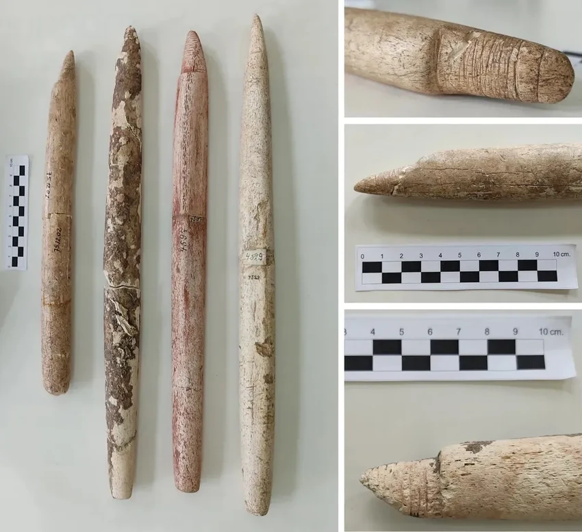 Древние китобои Бразилии: охота началась 5000 лет назад