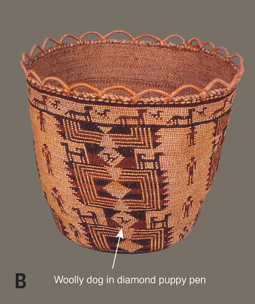 Пес Муттон: как шерсть одной собаки раскрыла тайну древней породы