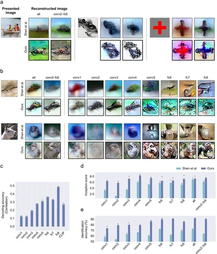 Ученые визуализировали мысленные образы из мозга с помощью ИИ