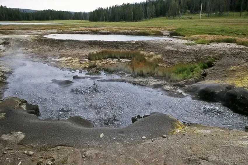 Открыты гены гигантских белков — тайное оружие бактерий-хищников