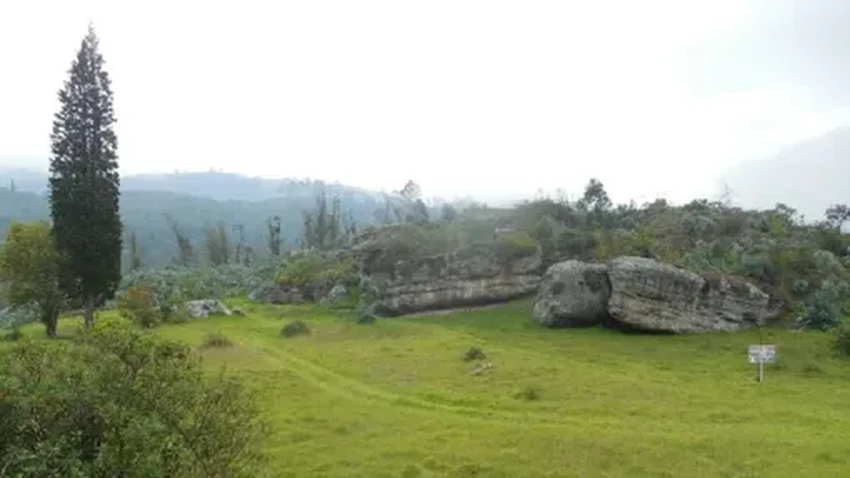 Древнейший сифилис: болезнь существовала в Америке 5500 лет назад