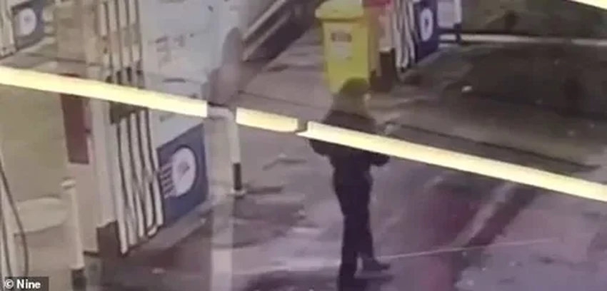 В Австралии женщина угнала фургон с десятью тысячами пончиков внутри