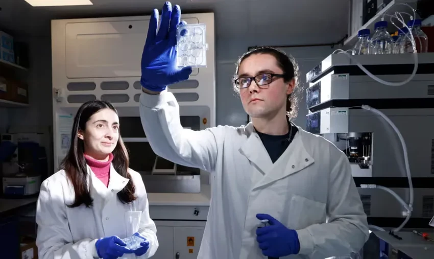 Учёные создали «организм на чипе» для испытания лекарств без животных