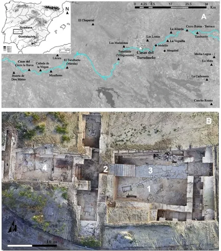 В Испании нашли древнюю яму с костями 52 животных: тайна массового жертвоприношения