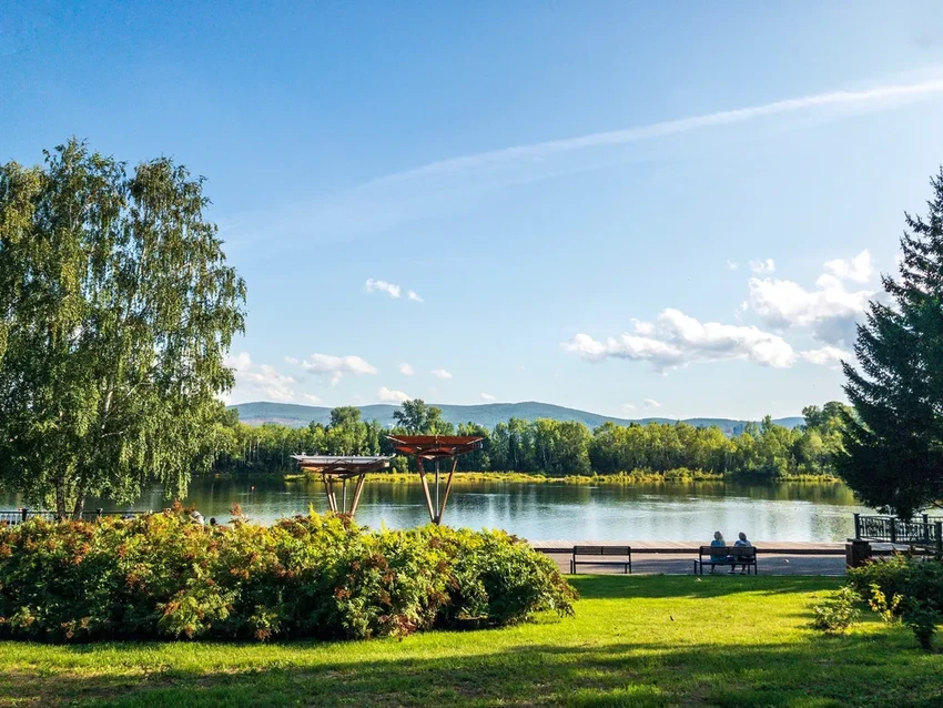 Жизнь среди зелени замедляет старение ваших клеток