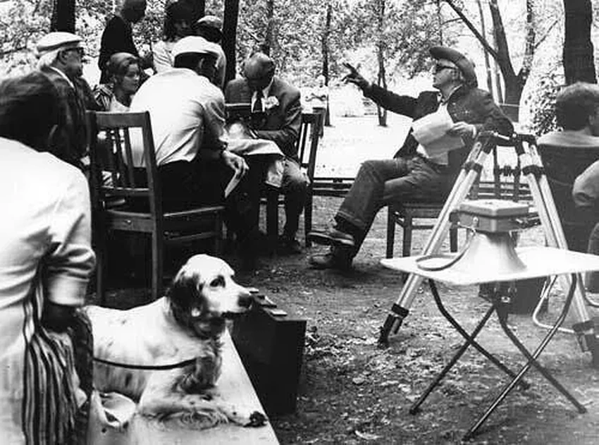 Судьба пса Степки: история актера, который сыграл Бима и не пережил предательства