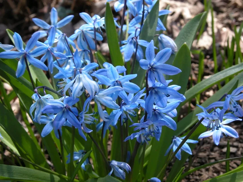 Google Lens: 5 бытовых задач, которые можно решить за секунду