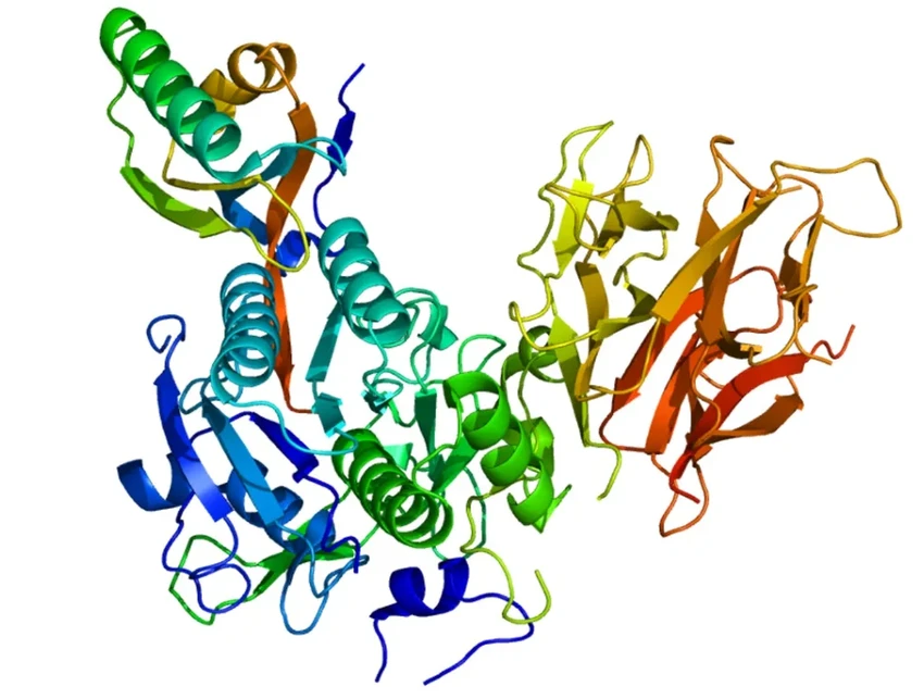 Первое редактирование генома человека против высокого холестерина: результаты