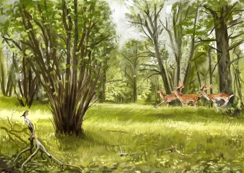 Мегафауна создала луга: почему Европа 120 тысяч лет назад не была сплошным лесом