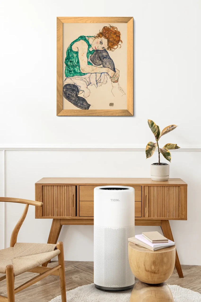 Сухой воздух в квартире: как создать здоровый микроклимат зимой