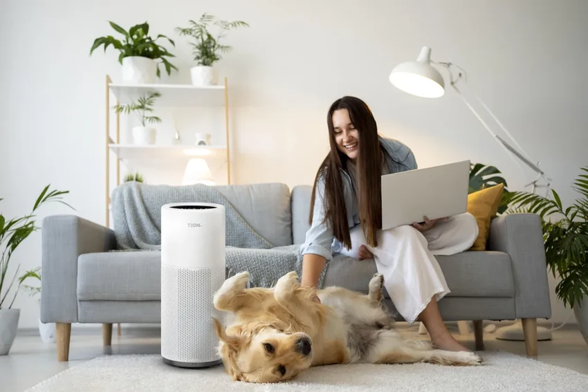 Сухой воздух в квартире: как создать здоровый микроклимат зимой