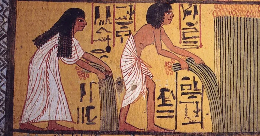 История теста на беременность: от лука и кроликов до первых полосок