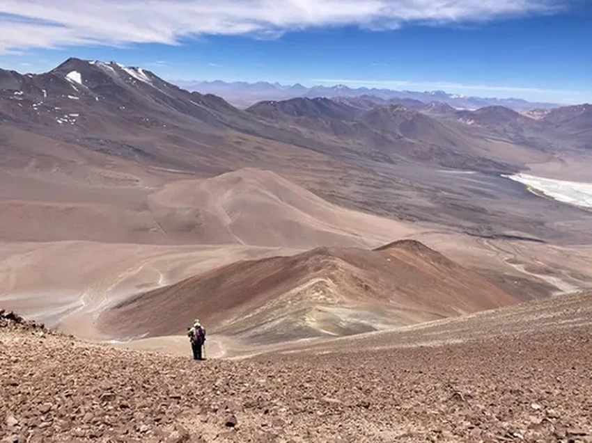 Мыши-рекордсмены: кто живет выше 6000 метров в Андах?