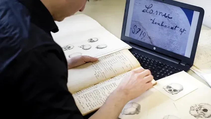 Генетики нашли потомков: как ДНК вернуло имена черепам, украденным из Африки