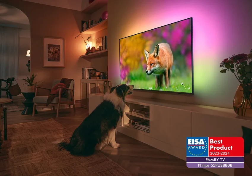 Умный дом к осени: гаджеты для комфорта, чистого воздуха и развлечений