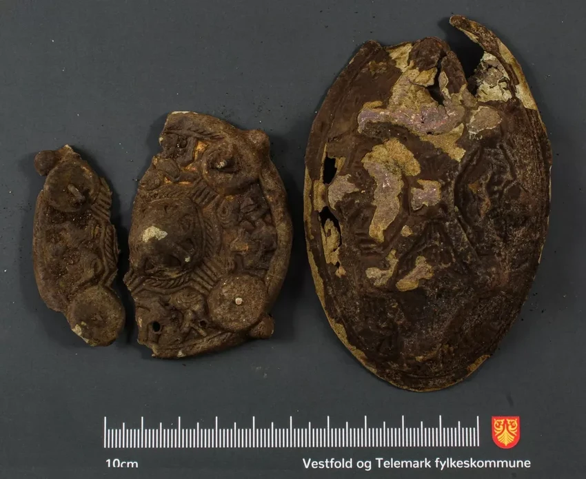 В поисках серьги: семья в Норвегии нашла в саду клад эпохи викингов