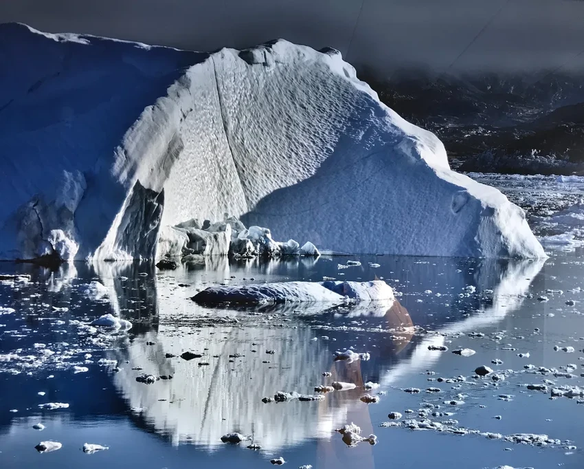 Цветение Антарктиды: почему распускающиеся растения тревожат ученых