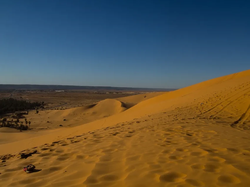 Будущий суперконтинент сделает Землю непригодной для млекопитающих