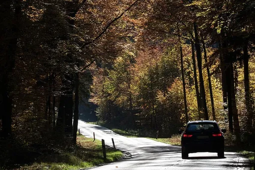 Трещина на лобовом стекле: как остановить её до визита в сервис