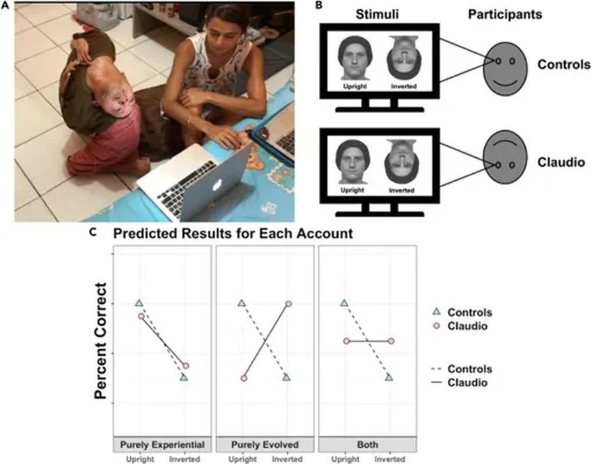 Как видит лица человек, голова которого повернута на 180 градусов?