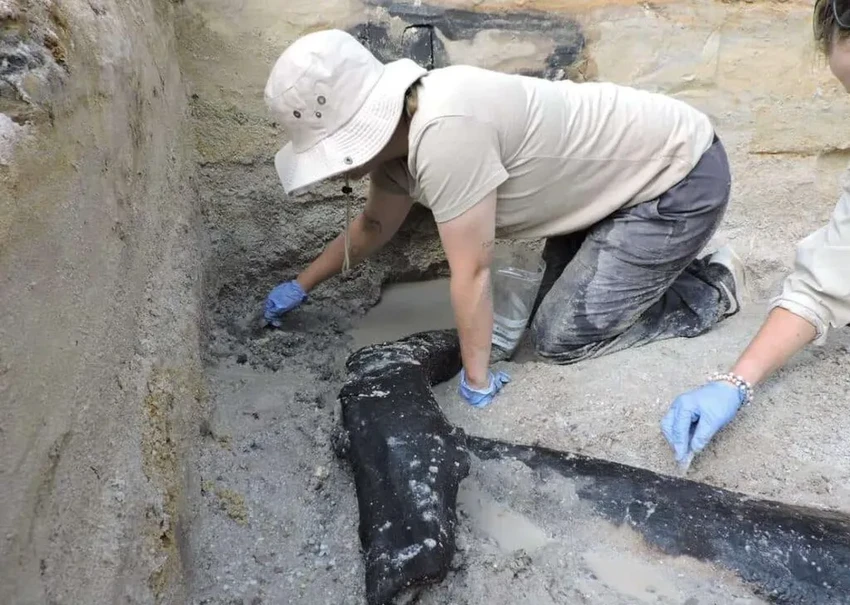 В Замбии нашли древнейшую деревянную конструкцию возрастом почти 500 тысяч лет