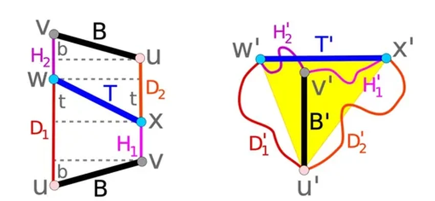 Математическая загадка ленты Мёбиуса решена после полувека поисков