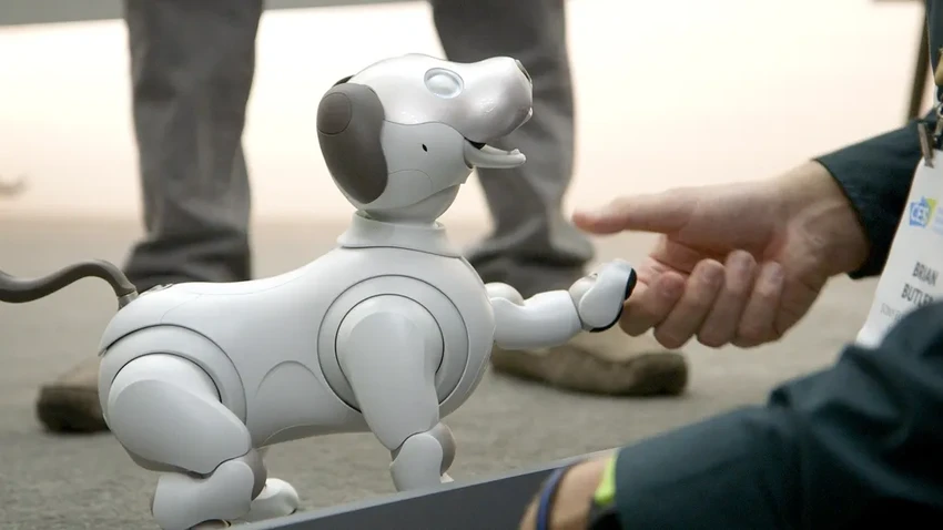 Sony открыла приют для робособак Aibo: как устроить электронного питомца