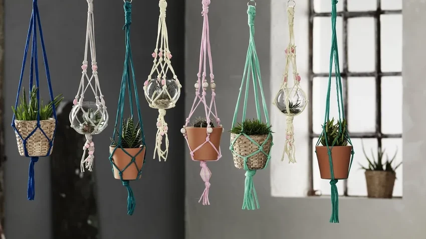 7 идей для старой футболки: от кашпо до игрушки для питомца