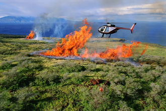 Новое исследование: рост CO2 может привести к потеплению на 14 градусов