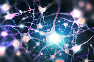 Нейросети и роботы недели: прорывы в ИИ и забывании