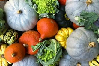 Как выбрать сушилку для овощей и фруктов: гид по заготовке урожая на зиму