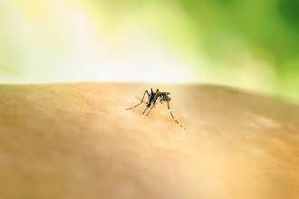 В Нью-Гэмпшире зафиксировали смерть от редкого вируса энцефалита