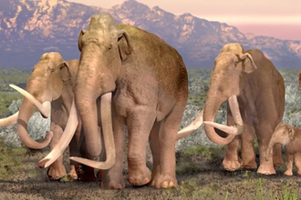 Как охотники каменного века убивали мамонтов: гениальная тактика