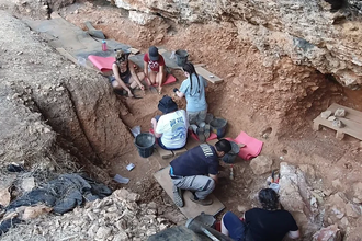 Умелые охотники неандертальцы: почему они исчезли с появлением людей