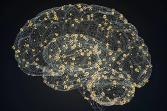 Как мозг хранит память: три версии одного воспоминания