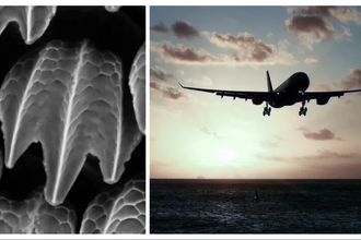 Как акулья кожа помогает самолётам экономить топливо: пример биомимикрии