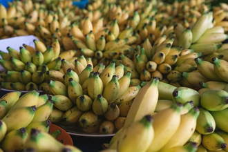 Бананы под угрозой: как наука находит способ их спасти