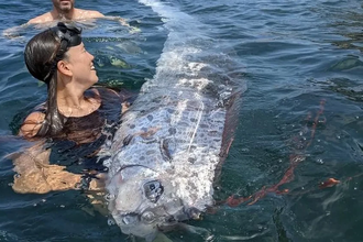 Редчайшая «рыба судного дня» замечена у берегов Калифорнии