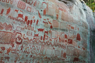 Древние рисунки Амазонии: что они рассказали о диете и мифах первых людей