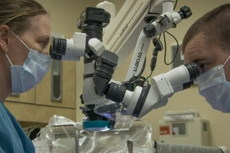 Белок А20: как молекула-защитник останавливает воспаление в организме