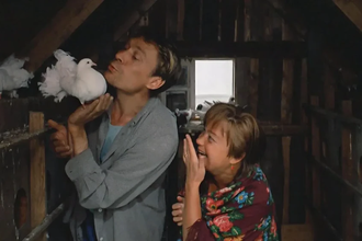 Зачем в СССР в каждом дворе строили голубятни: неожиданная история