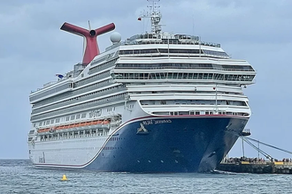 «Китовый хвост» на трубе лайнера: зачем нужны крылья и как они работают