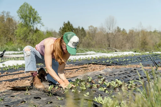 Что посадить в огороде осенью: 6 культур для раннего урожая в новом сезоне
