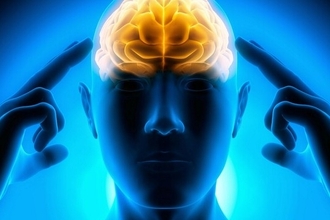 Новая цель для лечения хронической боли: почему белок RGS4 так важен