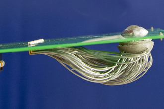 Бионический глаз с искусственной сетчаткой: как он вернет зрение