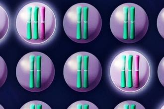 Удаление лишних хромосом: новый метод борьбы с раком