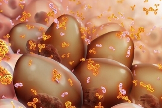 FL118: новый препарат против устойчивых форм множественной миеломы