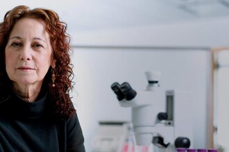 Новый биомаркер сенолитиков: как измерить омоложение организма?