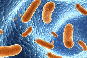 Как остановить эволюцию супербактерий? Новый подход к борьбе с устойчивостью